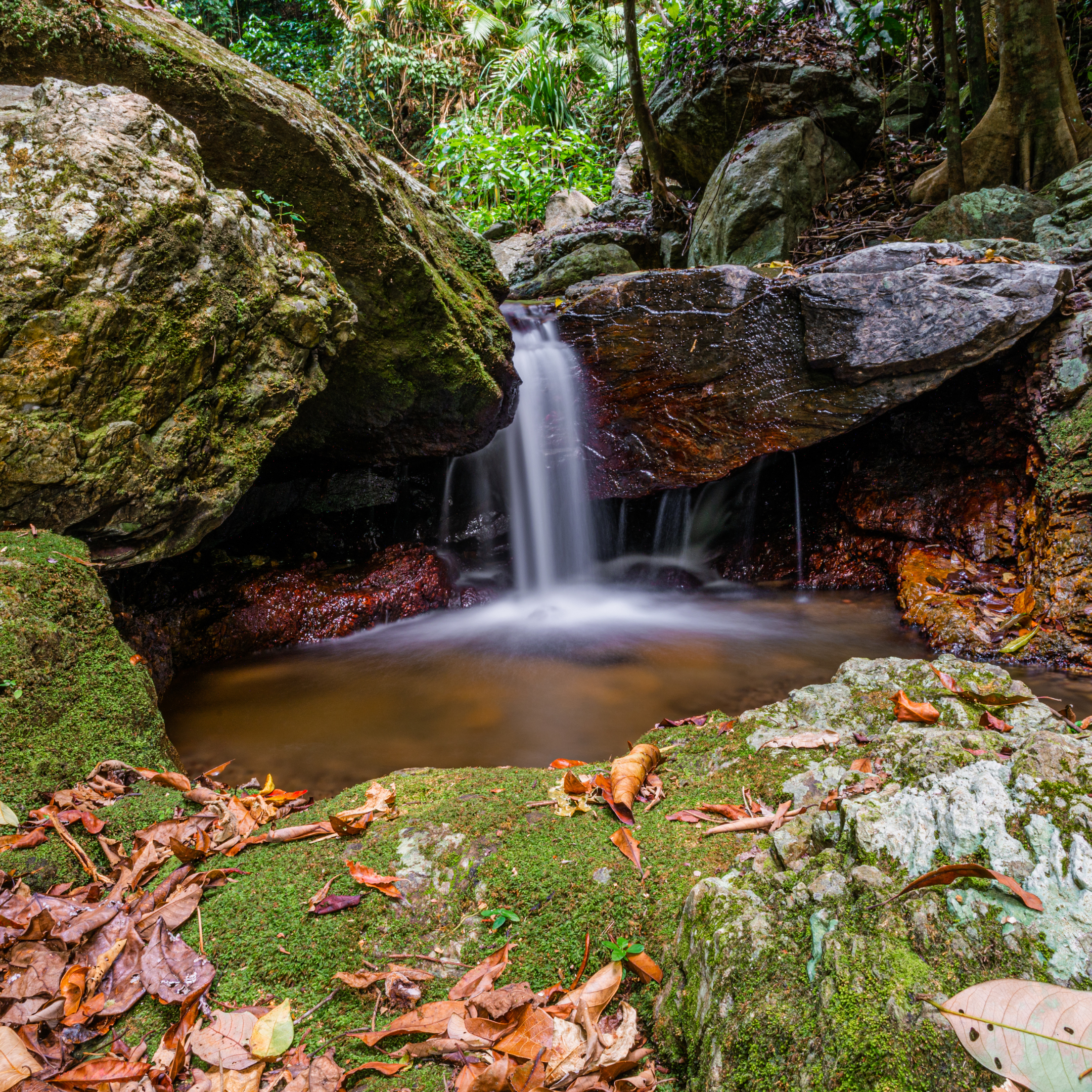 OTA Productions Cairns, Australia, portrait photography Cairns Australia